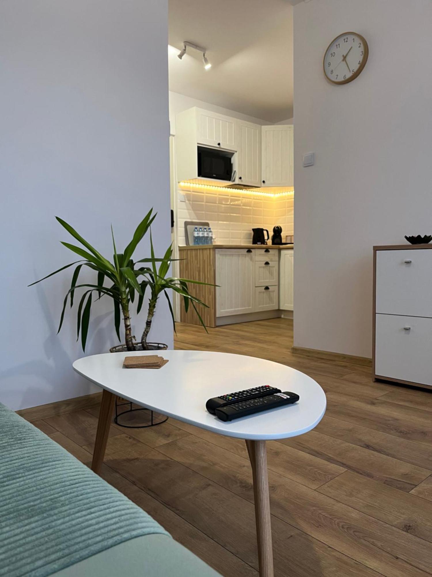 Apartament Rubinowy Stary Toruń Exterior foto